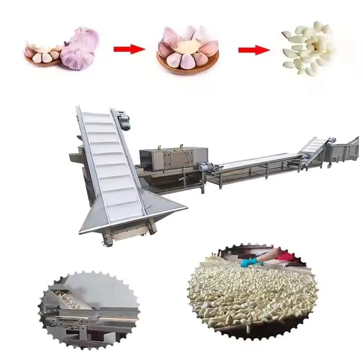 Garlic Bulb Break Industrial Automatic Ginger Make Separate Peeler Peel Machine And Product Line in Egypt
